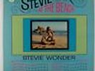 Stevie Wonder - At The Beach LP - Tamla Mono DG VG+