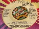 Rare Modern Soul Promo 45 James Walsh Gypsy Band Cuz It's You Girl RCA NM HEAR