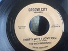 NORTHERN SOULTHE PROFESSIONALS - THAT'S WHY I LOVE YOU - VOCAL/INSTRUMENTAL