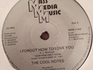 COOL-NOTES - I FORGOT HOW TO LOVE YOU ( 7
