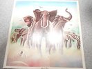 ELVIS COSTELLO  ARMED FORCES    LP  FOLD UP COVER WITH BONUS 45   UK IMPORT  350