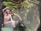 From The Ashes-Pennywise (2003 Epitaph Vinyl New)