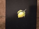 NEW Beyonce COLLECTOR'S EDITION HOW TO MAKE LEMONADE BOX SET COLOR LP VINYL BOOK