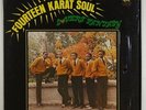Fourteen Karat Soul 