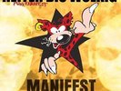 HEITER BIS WOLKIG * Manifest 2-LP neu*new *Punk