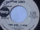 NORTHERN SOUL GARAGE PROMO 45/ LARRY & THE LARKS 