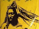 Bunny Wailer Bunny Wailer Sings The Wailers JAMAICA Solomonic Vinyl LP
