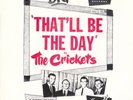 The Crickets ROCKABILLY 45 & PS (Brunswick 55009) That'll Be The Day /I'm  MINT-