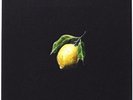 NEW Beyonce COLLECTOR'S EDITION HOW TO MAKE LEMONADE BOX SET COLOR LP VINYL BOOK