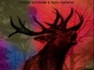 CONRAD SCHNITZLER/BJORN HATTERUD HIRSCHGEBRLL NEW VINYL