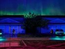 BIG SEAN I DECIDED. [PA] * NEW VINYL