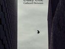 DDAY ONE GATHERED BETWEEN NEW VINYL