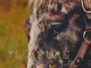 SPIRIT OF THE BEEHIVE PLEASURE SUCK [DIGITAL DOWNLOAD CARD] NEW VINYL