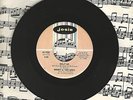 Honey & The Bees Help Me We Got To Stay Together Josie 45 Record NORTH SOUL M-