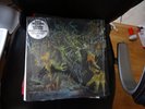 KING GIZZARD AND THE LIZARD WIZARD - MURDER OF THE UNIVERSE LP - SPLATTER  USED