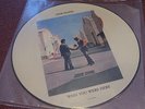 PINK FLOYD WISH YOU WERE HERE PICTURE DISC LP LOOKS NM