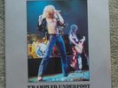 led zeppelin, trampled underfoot.double vinyl.swingin pig