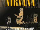 NIRVANA LIVE AT READING FESTIVAL AUGUST 1992 2LP VINYL NEW SEALED FAST SHIP