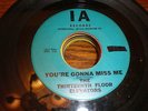 The Thirteenth Floor Elevators 45 You're Gonna Miss Me IA