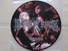 Cradle Of Filth ?– Vempire Or Dark Faerytales PICLP BLACK METAL 2004 Nihil 6 PD