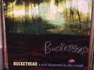 SIGNED Buckethead A Real Diamond In The Rough Vinyl Lp (not guns n roses primus