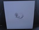 BIRDS OF PASSAGE WITHOUT THE WORLD LP COLOR VINYL W/POSTER + BOOK 2011 DENOVALI