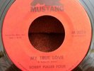 Bobby Fuller Four Mustang 3018 