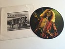 Led Zeppelin 1973 Interview Picture Disc (LP)