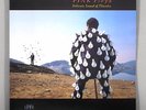 Pink Floyd - Delicate Sound of Thunder - EX+/NM - UK 12