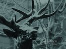 AGALLOCH - The Mantle 2 x LP - Black Metal - SEALED new copy - Great Album