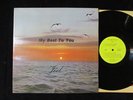 JO’EL My Best to You 1974 Psytronics LP private psych femme folk/drum machine EX