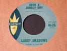 Larry Meadows   Such a Lonely Boy / Don't Hide   Regency teen popcorn 45   HEAR