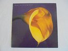Swans - The Burning World (1989, Vinyl vg+ / Cover vg)