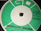 Our Plastic Dream.7”.A-little Bit Of Shangrila.Psych.1967 Original.vinyl.45rpm.