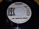 THE AMERICAN BREED Bend Me, Shape Me / Mindrocker 1968 WLP PROMO 7