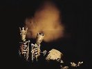 Riot Act - PEARL JAM [2x LP]