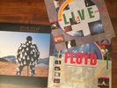 Pink Floyd ?– Delicate Sound Of Thunder Lp Original