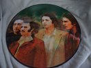 The Beatles - Alternate Rarities Picture Disc - Stunning