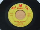 TERRY LEE & REVELERS Hey Baby, Hey Sugar/Part III 45 R&B Garage HEAR