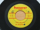 THE INSTRUMENTALS Chop Suey Rock/Are You Nervous? 45 Garage Surf Rockabilly HEAR