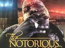 The Notorious BIG-Ready To Die Vinyl