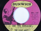 Inst. Garage Mod Psych 45 LIGHT NITES One Two, Boogaloo DUNWICH HEAR