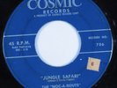 Instrumental Tittyshaker Exotica 45 NOC-A-BOUTS Jungle Safari COSMIC HEAR