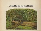 TOM RAPP/ PEARLS BEFORE SWINE Beautiful Lies You Could Live In 1971 US