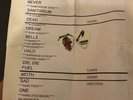 Metallica SETLIST plus PICKS  rare. O2 Arena London 22/10/17 RARE.