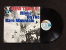 NEW TROLLS - NIGHT ON THE BARE MOUNTAIN / ITALIAN PROG LP ORIGINAL GERMAN PAN