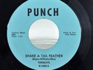 TORQUAYS Shake A Tail Feather / Temptation PUNCH Hideout DETROIT Garage