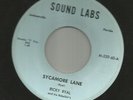 ROCKABILLY -RICKY RYAL & REBELAIR'S-  SYCAMORE LANE  - HEAR- 1960 FL. SOUND LABS