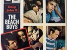 The BEACH BOYS 