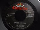ZZ4 CHANCELLOR 1144 GARAGE SURF THE AVANTIS GYPSY SURFER WAX EM DOWN PAT VEGAS
